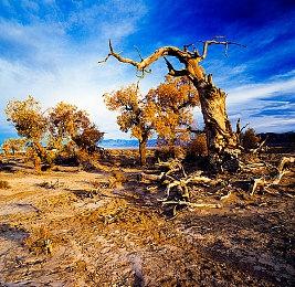 《英雄连3》 英军阵营全新宣传片公开 2月24日发售