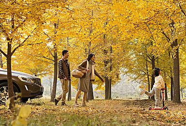 THQ Nordic​科隆展游戏阵容预告